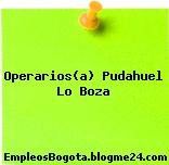 Operarios(a) Pudahuel Lo Boza