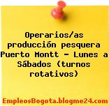 Operarios/as producción pesquera Puerto Montt – Lunes a Sábados (turnos rotativos)