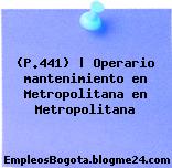 (P.441) | Operario mantenimiento en Metropolitana en Metropolitana