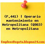 (P.441) | Operario mantenimiento en Metropolitana (Q963) en Metropolitana