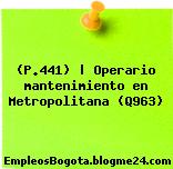 (P.441) | Operario mantenimiento en Metropolitana (Q963)