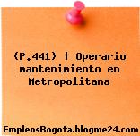 (P.441) | Operario mantenimiento en Metropolitana