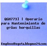 QGH773] | Operario para Mantenimiento de grúas horquillas