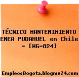 TÉCNICO MANTENIMIENTO ENEA PUDAHUEL en Chile – [WG-824]
