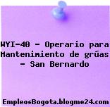 WYI-40 – Operario para Mantenimiento de grúas – San Bernardo