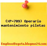 (XP-709) Operario mantenimiento piletas