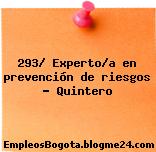 293/ Experto/a en prevención de riesgos – Quintero