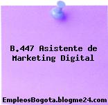 B.447 Asistente de Marketing Digital