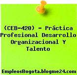 (CEB-420) – Práctica Profesional Desarrollo Organizacional Y Talento