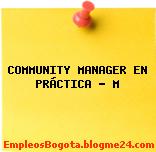 COMMUNITY MANAGER EN PRÁCTICA – M