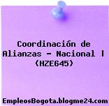 Coordinación de Alianzas – Nacional | (HZE645)
