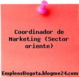 Coordinador de Marketing (Sector oriente)