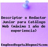 Descriptor o Redactor Junior para Catálogo Web (máximo 1 año de experiencia)
