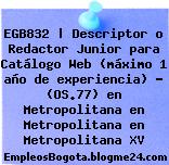 EGB832 | Descriptor o Redactor Junior para Catálogo Web (máximo 1 año de experiencia) – (OS.77) en Metropolitana en Metropolitana en Metropolitana XV