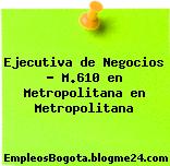 Ejecutiva de Negocios – M.610 en Metropolitana en Metropolitana
