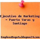 Ejecutivo de Marketing – Puerto Varas y Santiago