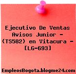 Ejecutivo De Ventas Avisos Junior – (TS582) en Vitacura – [LG-693]