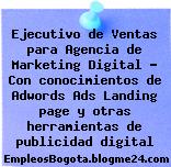 Ejecutivo de Ventas para Agencia de Marketing Digital – Con conocimientos de Adwords Ads Landing page y otras herramientas de publicidad digital