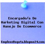 Encargado/a De Marketing Digital Con Manejo De Ecommerce