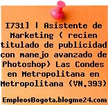 I731] | Asistente de Marketing ( recien titulado de publicidad con manejo avanzado de Photoshop) Las Condes en Metropolitana en Metropolitana (VN.393)