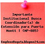 Importante Institucional Busca Coordinador(a) de Extensión para Puerto Montt | (MP-885)