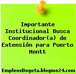 Importante Institucional Busca Coordinador(a) de Extensión para Puerto Montt