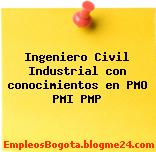 Ingeniero Civil Industrial con conocimientos en PMO PMI PMP