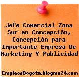 Jefe Comercial Zona Sur en Concepción, Concepción para Importante Empresa De Marketing Y Publicidad