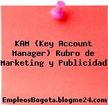 KAM (Key Account Manager) Rubro de Marketing y Publicidad