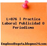 L-876 | Practica Laboral Publicidad O Periodismo