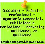 (LGG.914) – Práctica Profesional – Ingeniería Comercial, Publicidad o Periodismo – Marketing – Quilicura. en Quilicura
