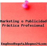 Marketing o Publicidad Práctica Profesional