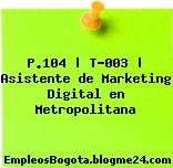 P.104 | T-003 | Asistente de Marketing Digital en Metropolitana
