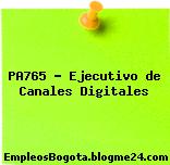 PA765 – Ejecutivo de Canales Digitales