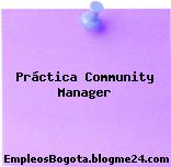 Práctica Community Manager