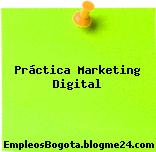 Práctica Marketing Digital