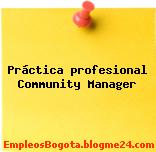 Práctica profesional Community Manager