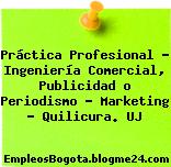 Práctica Profesional – Ingeniería Comercial, Publicidad o Periodismo – Marketing – Quilicura. UJ