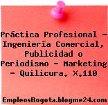 Práctica Profesional – Ingeniería Comercial, Publicidad o Periodismo – Marketing – Quilicura. X.110