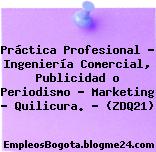 Práctica Profesional – Ingeniería Comercial, Publicidad o Periodismo – Marketing – Quilicura. – (ZDQ21)