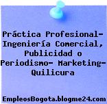 Práctica Profesional – Ingeniería Comercial, Publicidad o Periodismo – Marketing – Quilicura