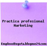 Practica profesional Marketing