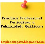 Práctica Profesional Periodismo o Publicidad, Quilicura