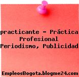 practicante – Práctica Profesional Periodismo, Publicidad