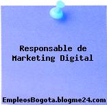 Responsable de Marketing Digital