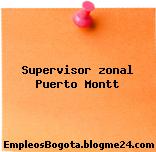 Supervisor zonal Puerto Montt