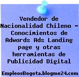 Vendedor de Nacionalidad Chileno – Conocimientos de Adwords Ads Landing page y otras herramientas de Publicidad Digital