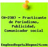 (W-230) – Practicante de Periodismo, Publicidad, Comunicador social