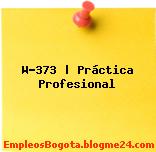 W-373 | Práctica Profesional