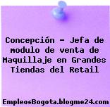Concepción – Jefa de modulo de venta de Maquillaje en Grandes Tiendas del Retail